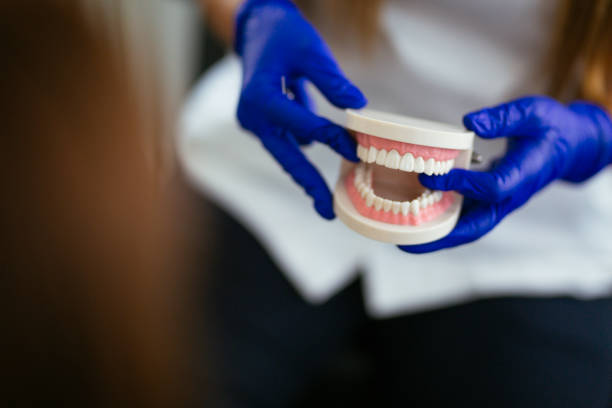 Best Dental Exams and Cleanings  in College, AK